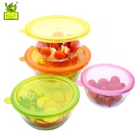 High borosilicate glass salad bowl with PP lid